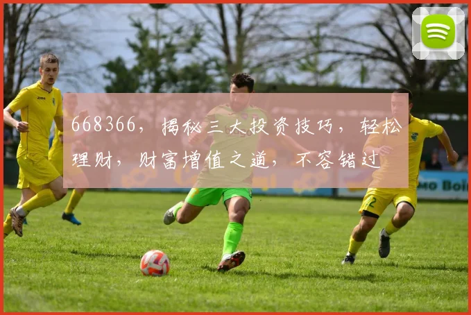 668366，揭秘三大投资技巧，轻松理财，财富增值之道，不容错过