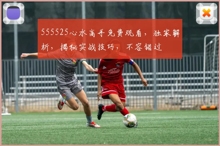 555525心水高手免费观看，独家解析，揭秘实战技巧，不容错过