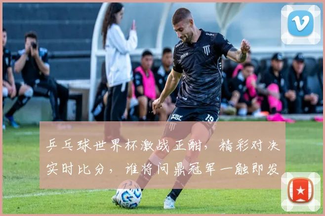 乒乓球世界杯激战正酣，精彩对决实时比分，谁将问鼎冠军一触即发，敬请关注